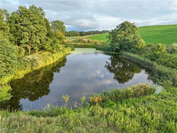 80101 Lamborn Rd, Cadiz, OH 43907