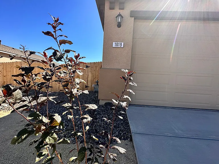 1019 Brierwood Ln — Photo 19