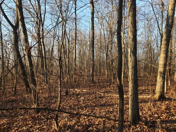 0 WHISTLE PASS ROAD, Dodge, WI 54625