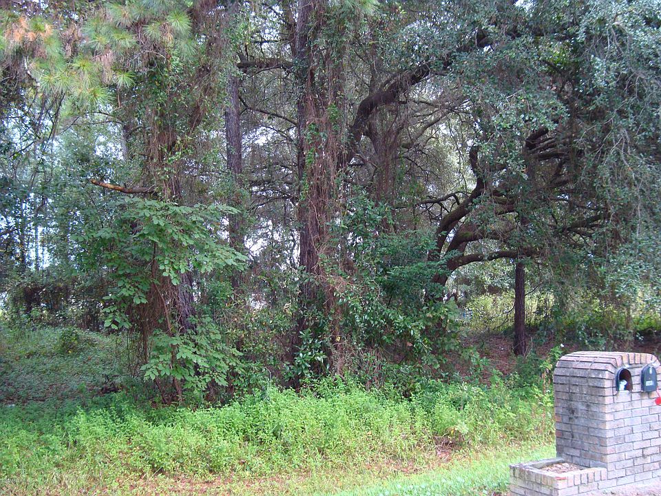 2nd image of 0 N LEAFDALE Circle