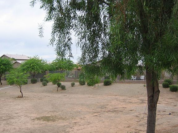 Another View from Backyard