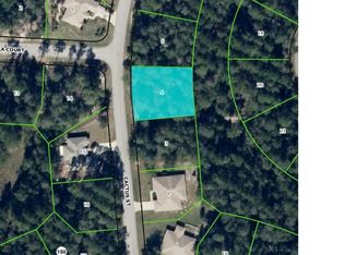 8 Cactus St, Homosassa, FL 34446