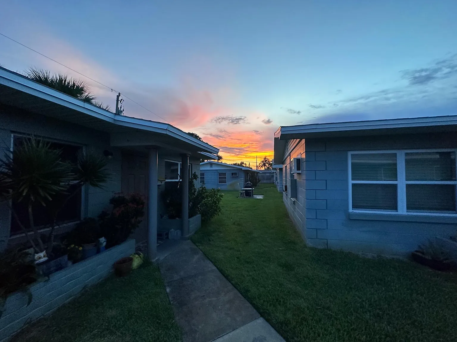 1 bed, 528 sqft, $1,600 — Photo 2