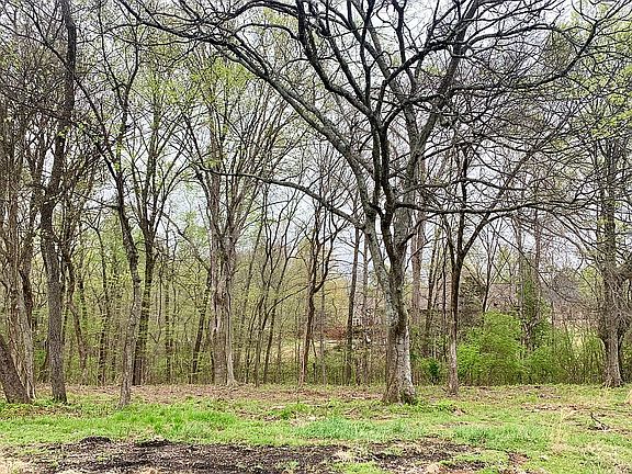 5th image of 203 Riverwood Dr