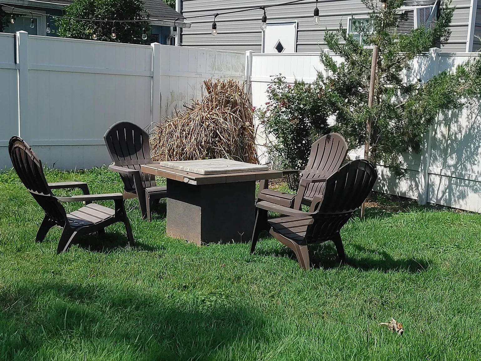 Livingstone St, Colonial Beach — Photo 4