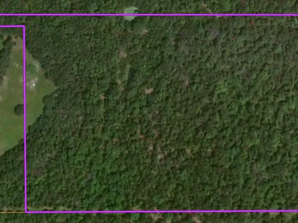 0 County Road 17, Mountain Home, AR 72653