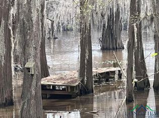 553 Jackson Arm Rd, Karnack, TX 75661