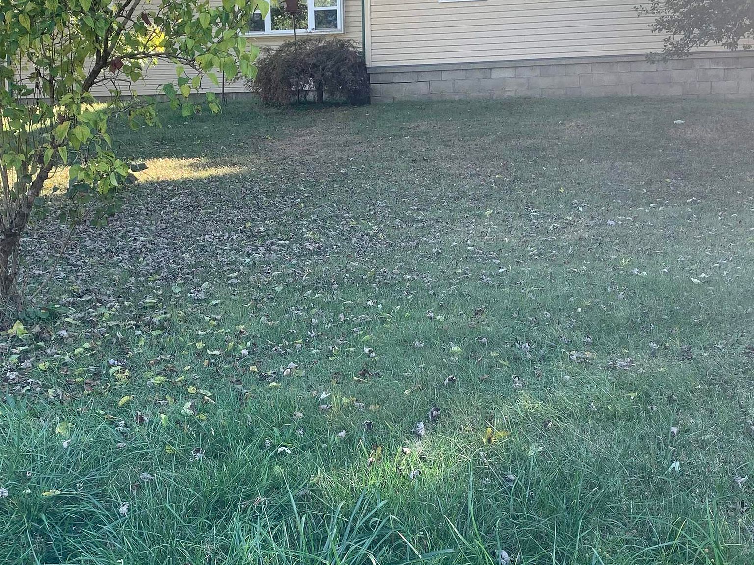 772 Frontage Rd, Glenwood, WV 25520 MLS 178097 Zillow