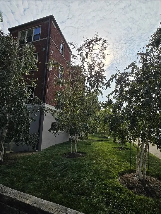 1 bed, 800 sqft, $1,250 — Photo 2