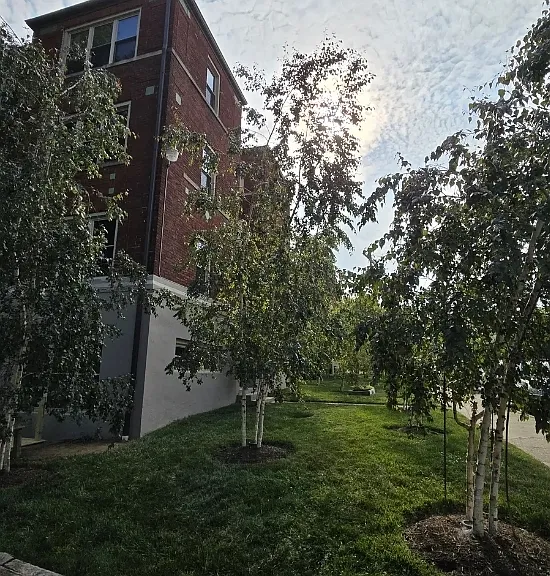 342 Forest Ave #C1 — Photo 2