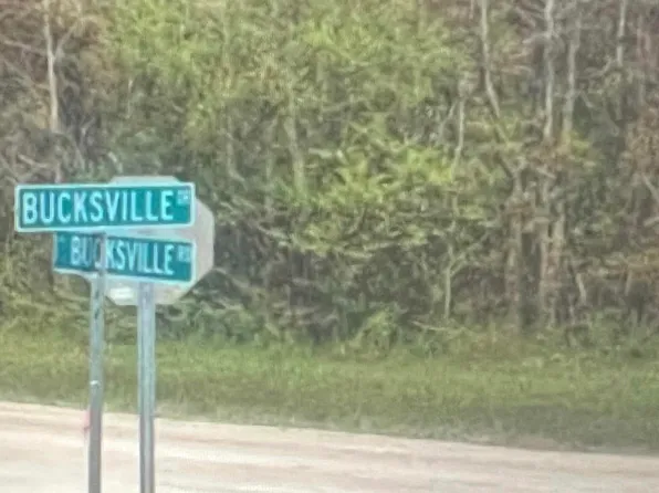 TBD Bucksville Dr. #Parcel B, Conway, SC 29527