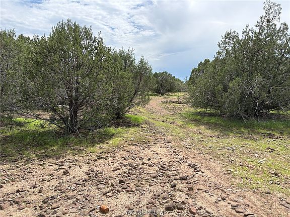 5th image of 314-59-037 Greeley Dam Road