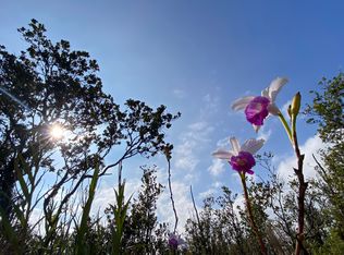 Kaleponi Dr, Volcano, HI 96785