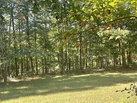 2nd image of 198 Walter Lee Ln