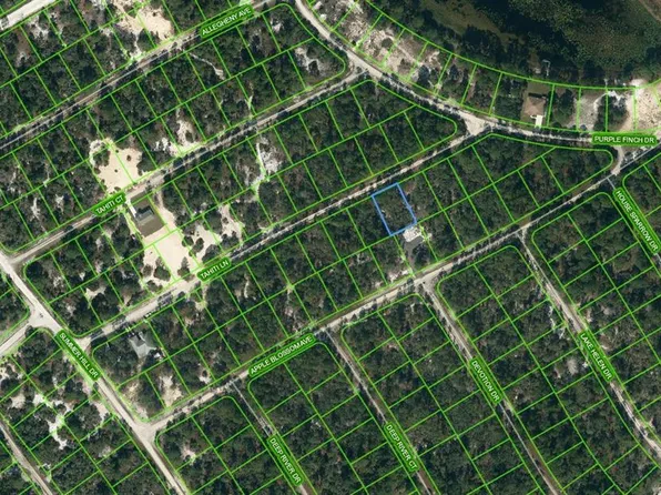 423 Tahiti Ln #12, Lake Placid, FL 33852