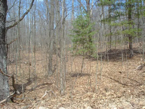 10106 Maple Ln, Evart, MI 49631