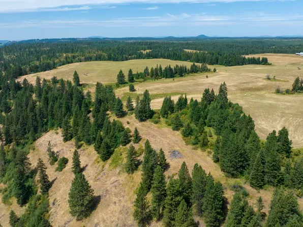 1605 Jasmine Lane Parcels 16 #&-17, Weippe, ID 83553