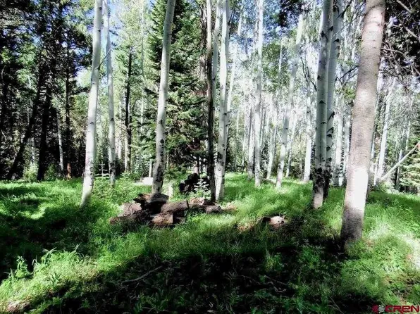 552 Snowshoe Ln, Cimarron, CO 81220