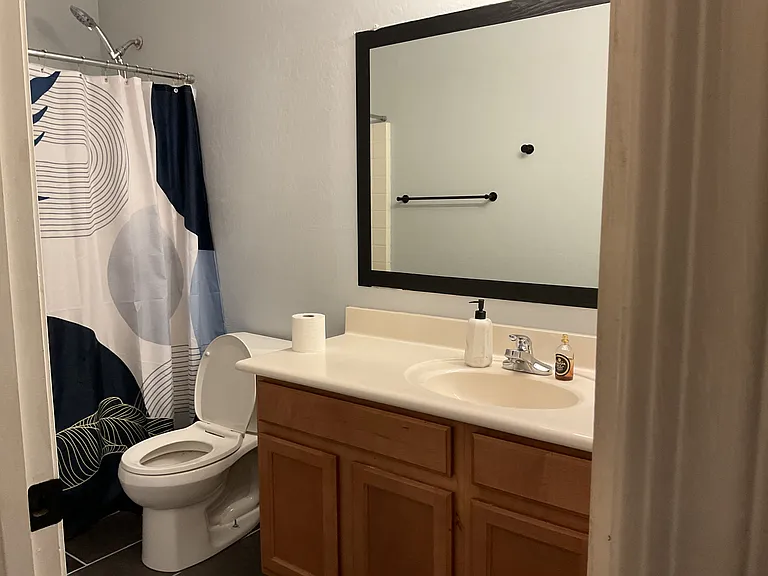 Guest bathroom