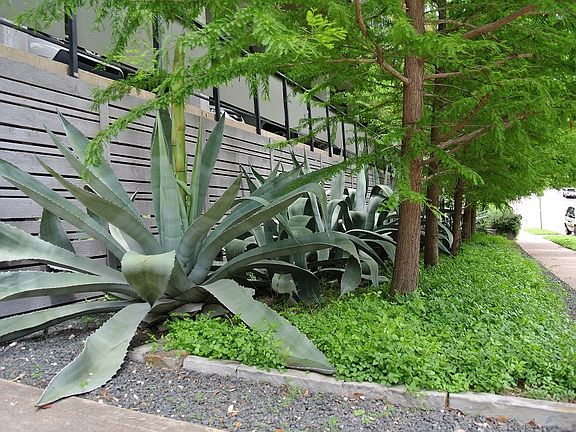 Landscaping