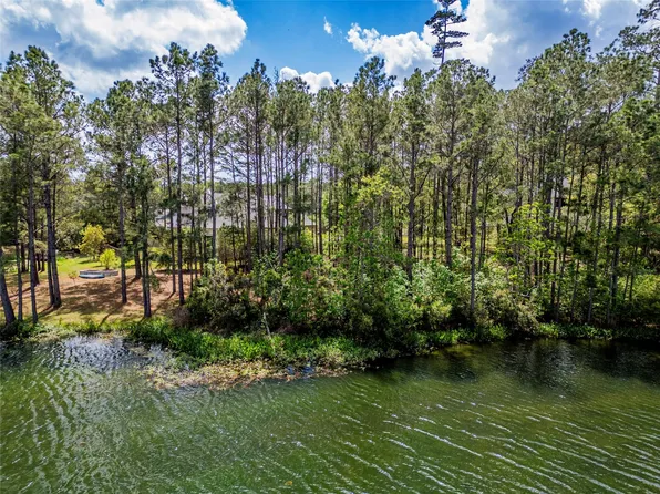 4473 Holly Trail Rd, Montgomery, TX 77316