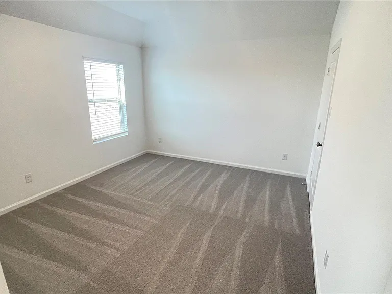 30310 Tall Fescue — Photo 16