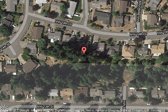 Map View