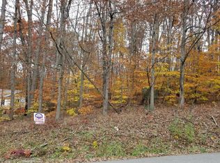 101 Reynolds St, Summersville, WV 26651