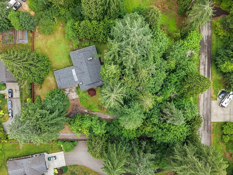 Private driveway with extra parking. House sits well up from the road and tree mass is the view from living/dining large windows.