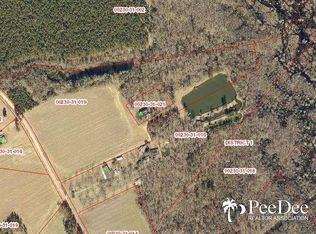 550 N McDougal Rd, Lake City, SC 29560