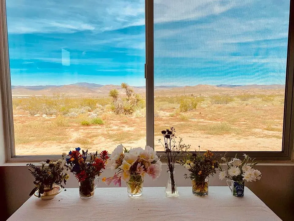 52122 Ocotillo Rd — Photo 1