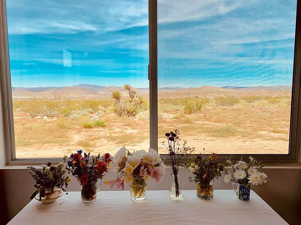 Cabin with a view with wild flowers picked on 5-acre property!