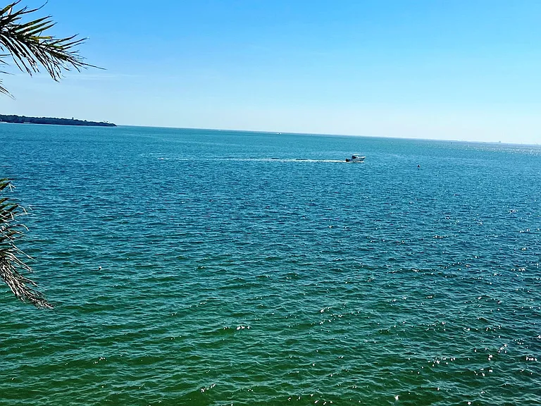 East balcony's view of Tampa Bay