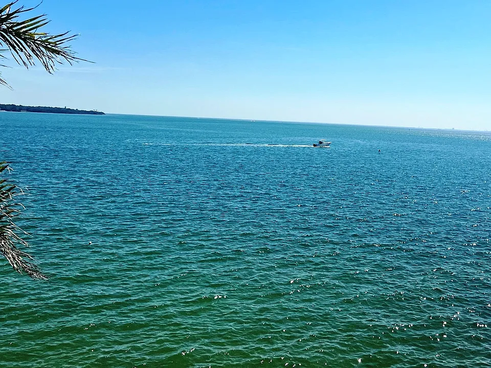 East balcony's view of Tampa Bay
