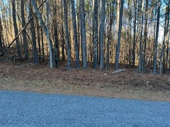Yellow Creek Rd Lot 30, Leesburg, AL 35983
