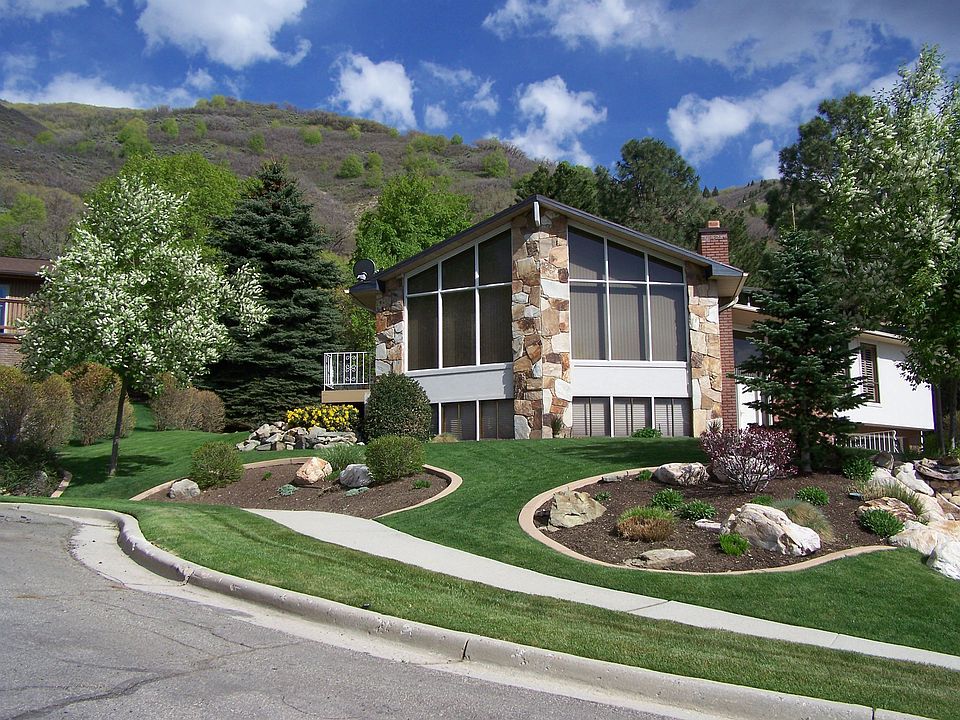 Front yard view