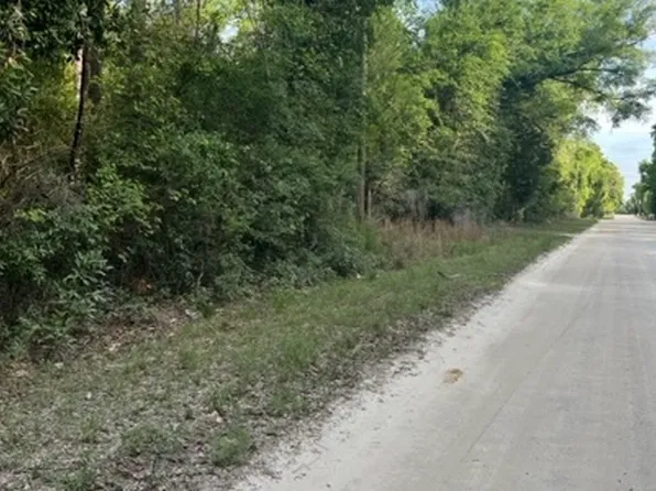 0 Longhorne Ter SW, Fort White, FL 32038