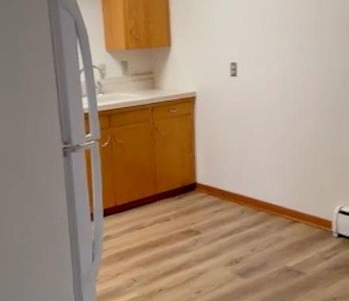Brand new kitchen luxury vinyl flooring. Lighted ceiling fan.