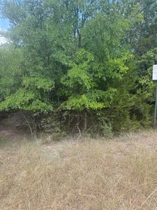 3821 Birdsong Ct, Granbury, TX, 76049