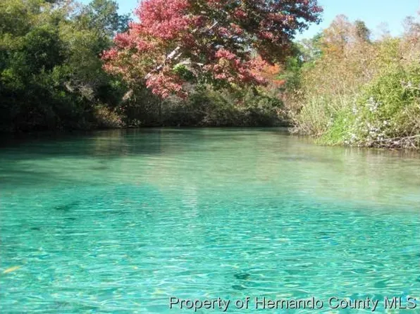 Waters Way, Weeki Wachee, FL 34607