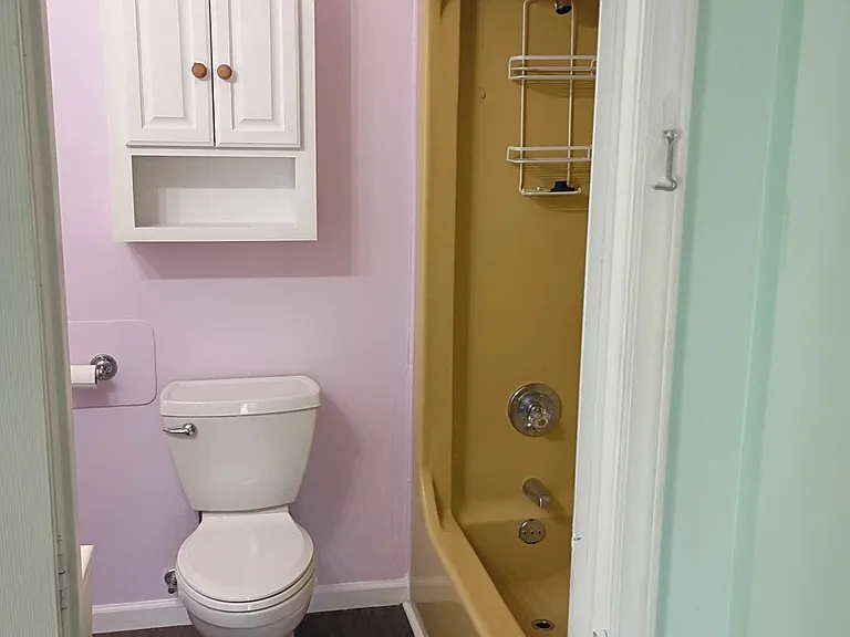 Chic bathroom with a large vanity mirror, soft calming wall colors, and a new soft-close toilet seat_small touches that make daily routines nicer.