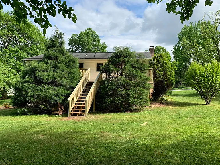 Back yard