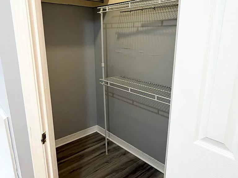 Master first walk-in closet