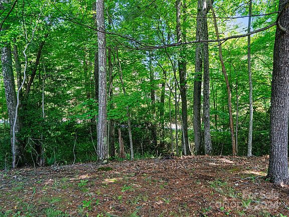 4th image of 2507 Carriage Falls Ct