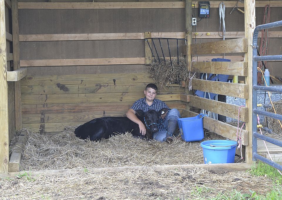 Shed with 2 stalls 
