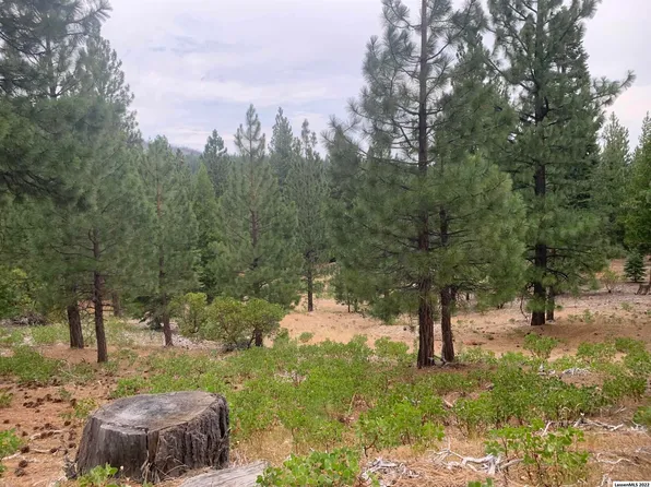 702-000 Baxter Rd, Janesville, CA 96114