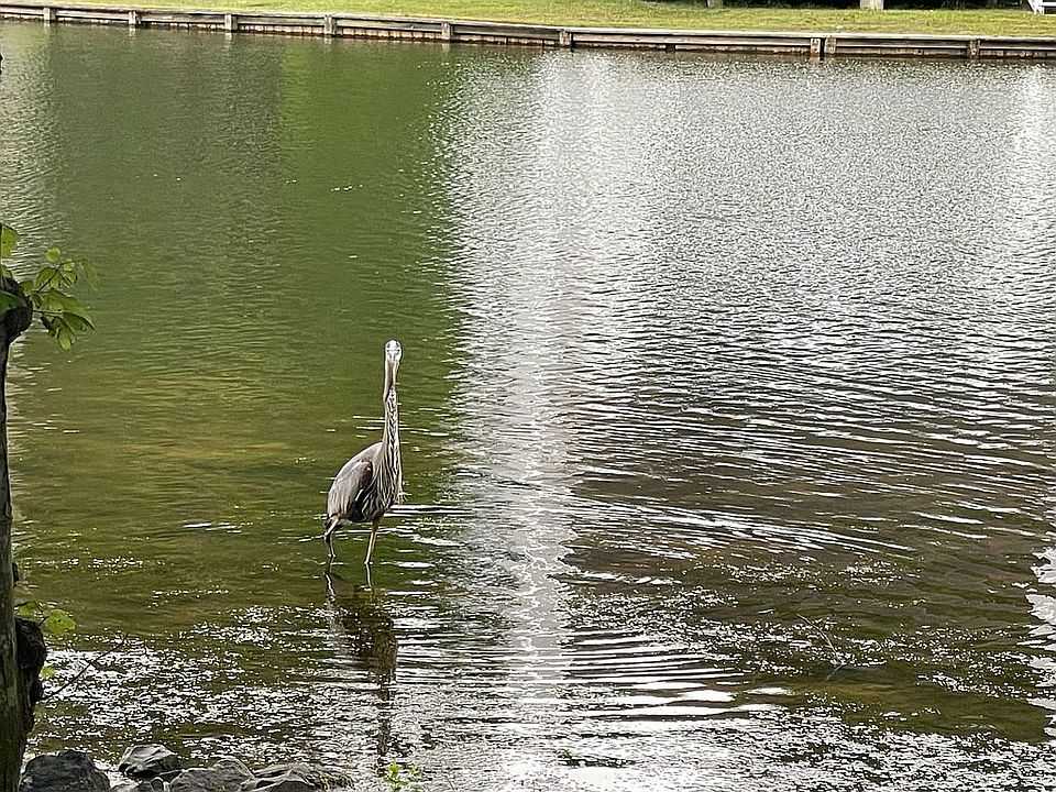 2nd image of 33671 Summer Walk