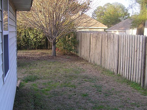 East Side of Backyard