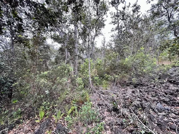 Catamaran Ln Lot 21, Ocean View, HI 96737