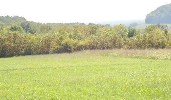 2nd image of 0 Bushes Hl Lot 4/roys Farm Lot 4